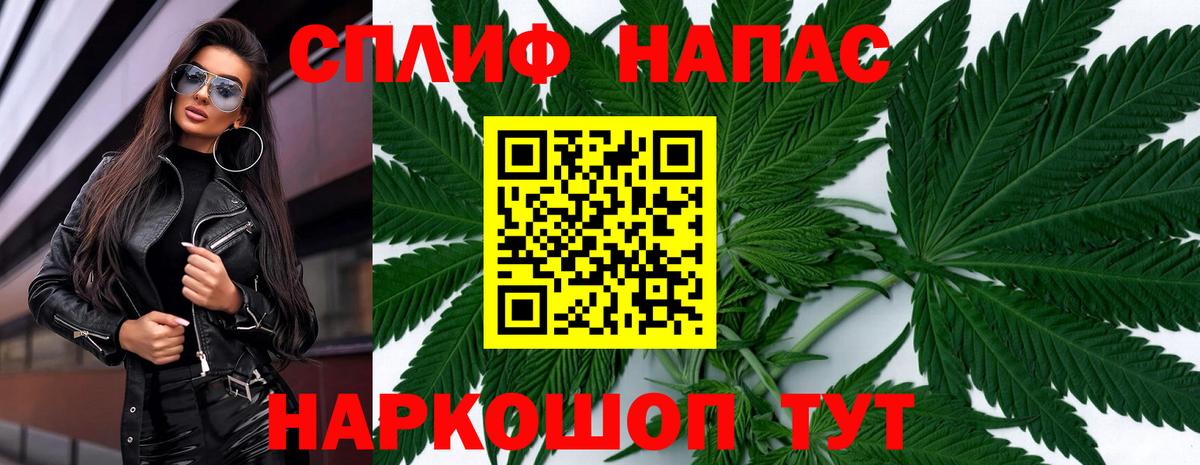 Бошки Шишки VHQ Георгиевск